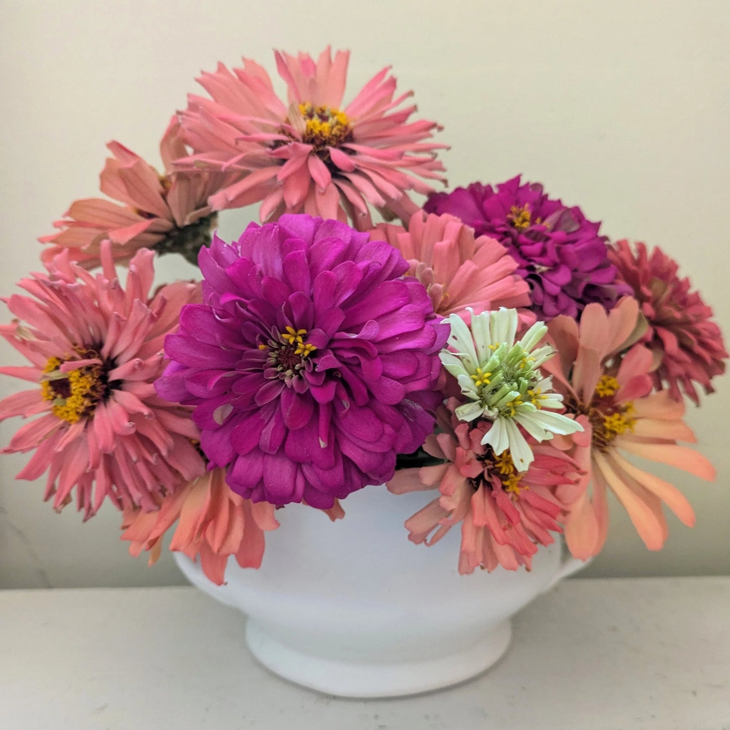 hydrangea bowl
