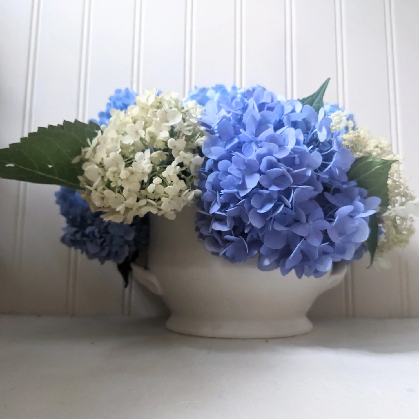 hydrangea bowl