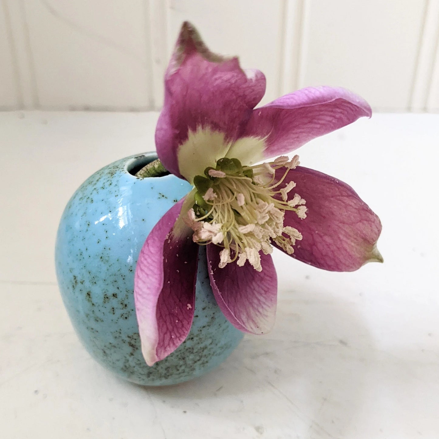 Bird Egg Vases- Speckled